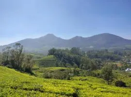 Munnar Valley View Annex