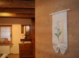 Ciesa Le Crepedele Miniappartamento Zenabona