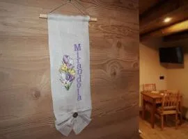 Ciesa Le Crepedele Miniappartamento Mirandola