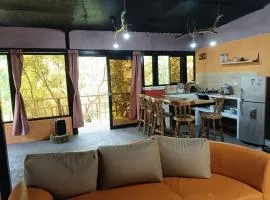 Cabaña entre aves cerca a Filandia y Salento