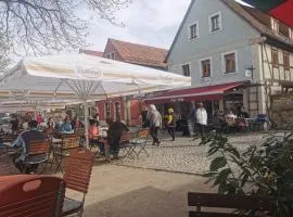 Fewo Radebeul Sachsen Altkötzschenbroda am Elberadweg