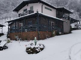 VILA Ade，位于Padeş的乡村别墅