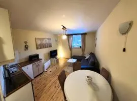 Ski-in & Ski-out, Apartman Filip - 30m from GONDOLA Brzeće