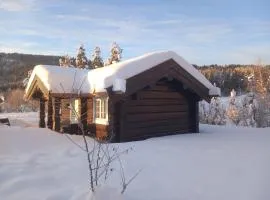 Krøderen Laftet tømmerstue fra 2021