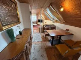 Central Apartment Rödermark 3SZ