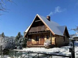 Domek pod lasem