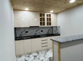 Дома в Дилижане