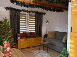 EscapeTinyCabin by IezerVenture