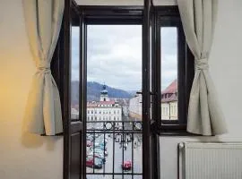 Symbiola Automat Apartments