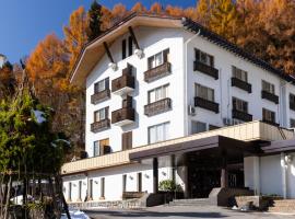 野泽大酒店，位于野沢的酒店