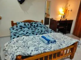 Ebony Room - AC, Kitchenette, Ensuite, Independent Homestay