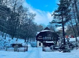 歌剧院酒店 ，位于索波特的酒店