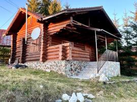 Sunset Chalet，位于Ciocanu的木屋