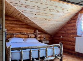 Sunset Chalet，位于Ciocanu的木屋