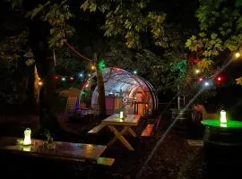Eco-Camping De Helleborus, Yurt, Bell & Safari tent, Pipo, Caravans, Dorms and Units