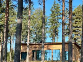 New Seaside Villa with Beach Sauna and Panoramic Views，位于波尔沃的酒店