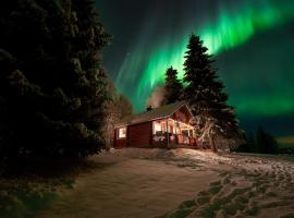 Lapland Aurora Riverside，位于Raiskio的酒店