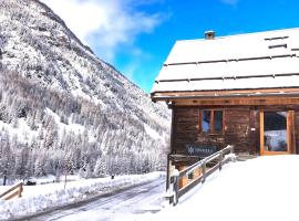 Chalet prestige 14 pers au pied des pistes，位于塞拉克的酒店