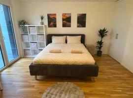 Studio moderne avec parking，位于德莱蒙的酒店