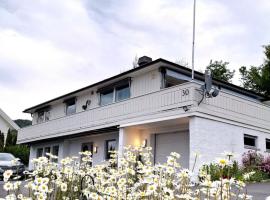 Gjesterom til leie i et privat hus，位于Brumunddal的酒店