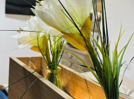 CitiMarina56，位于布罗德尼察的酒店