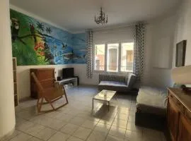 T2 de 70 m2 au cœur de Sète