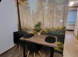 Apartament Nowomiejski