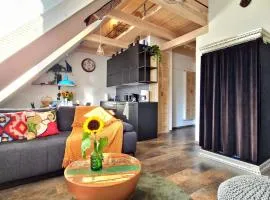 LTS RENT Luxury&Comfortable Etno Loft OLD TOWN free parking