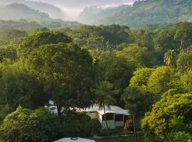 那图屯帕伦克酒店