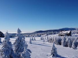 斯平德洛瓦伯达酒店，位于什平德莱鲁夫姆林的酒店
