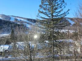 Mountain view chalet avec vue sur la montagne，位于斯托纳姆的酒店