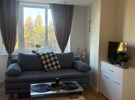 Chamkoria Borovets luxury apartment view，位于波罗维茨的酒店