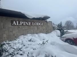 Alpine Lodge Bansko Apartments，位于班斯科的酒店