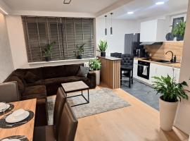 Apartament Polna 21，位于卡利什的酒店