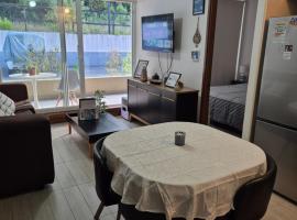 Departamento full equipado Puc&oacute;n - Casa Ayun，位于普孔的带泳池的酒店