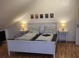 Apartment Drachennest mit Kochnische & Bad