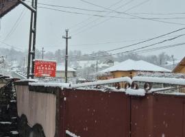 Pensiunea Ileana，位于诺瓦齐- 斯特拉尼的宠物友好酒店