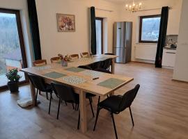 Sowie Zacisze Dom na wynajem，位于Barycz的酒店