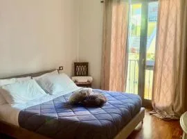 Carducci Center Home