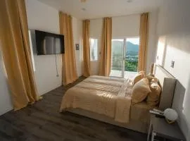 Luxury Apt with Amazing Views