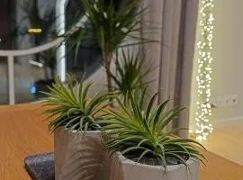 Keila Round View Apartment