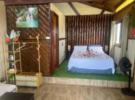 Jungle of Peace Guesthouse