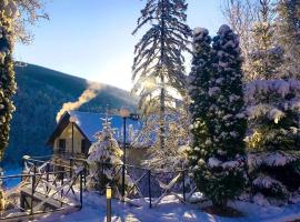 VitaPark Carpaty，位于泽德尼耶沃的酒店