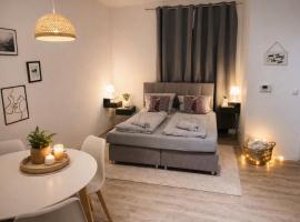 Komfort Apartment nahe Hauptbahnhof Koblenz，位于科布伦茨的酒店