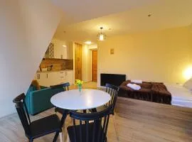 Comfy Studio in Gudauri Marshall - By Wehost