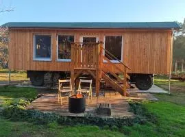 Tiny House am Waldrand