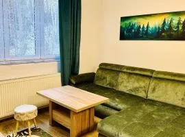 Šumava ski apartment under Zadov 70m2