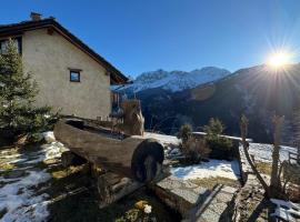 BARDONECCHIA SCI E RELAX，位于巴多尼奇亚的酒店