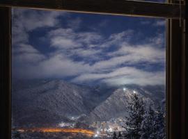 Hotel forest echo，位于博尔若米的酒店