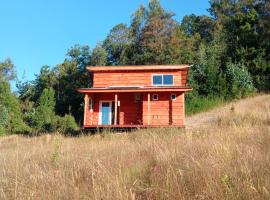 Tiny house Chucao，位于La Unión的酒店